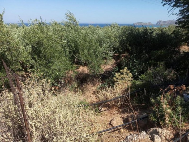 Kissamos Kreta, Kissamos: Grundstück in der Nähe des Strandes von Falassarna Grundstück kaufen